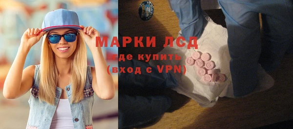 индика Беломорск