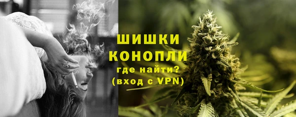 индика Беломорск