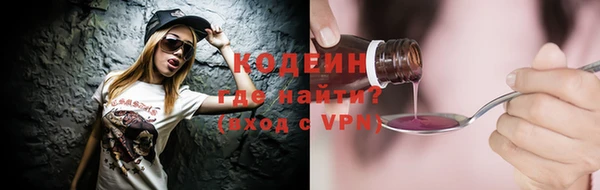 индика Беломорск