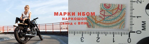 индика Беломорск
