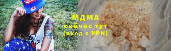 индика Беломорск
