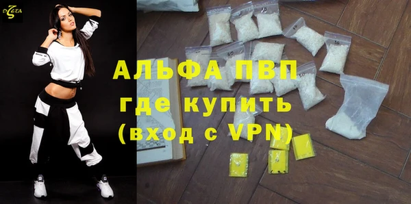 индика Беломорск