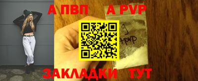 СК Новодвинск