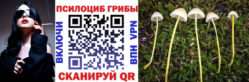 Псилоцибиновые грибы прущие грибы  как найти закладки  Мурманск 