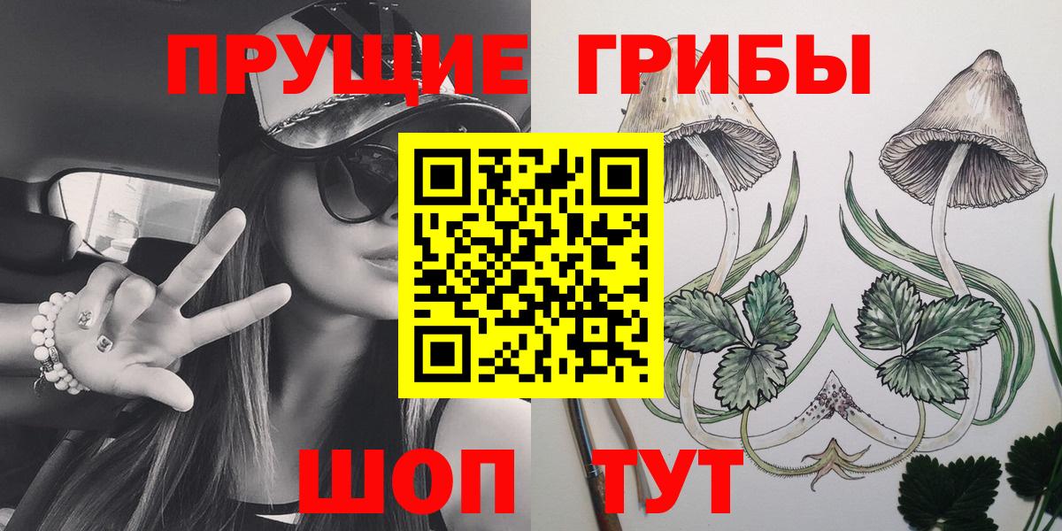 купить наркотики сайты  Вход с VPN  Мурманск  Псилоцибиновые грибы GOLDEN TEACHER 