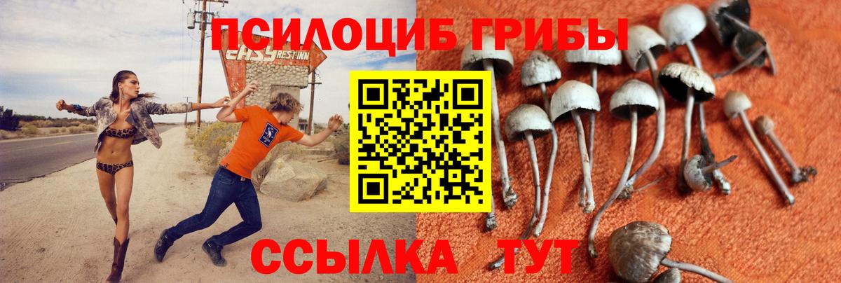 Галлюциногенные грибы Cubensis Мурманск