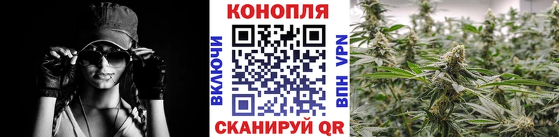 Каннабис конопля Мурманск